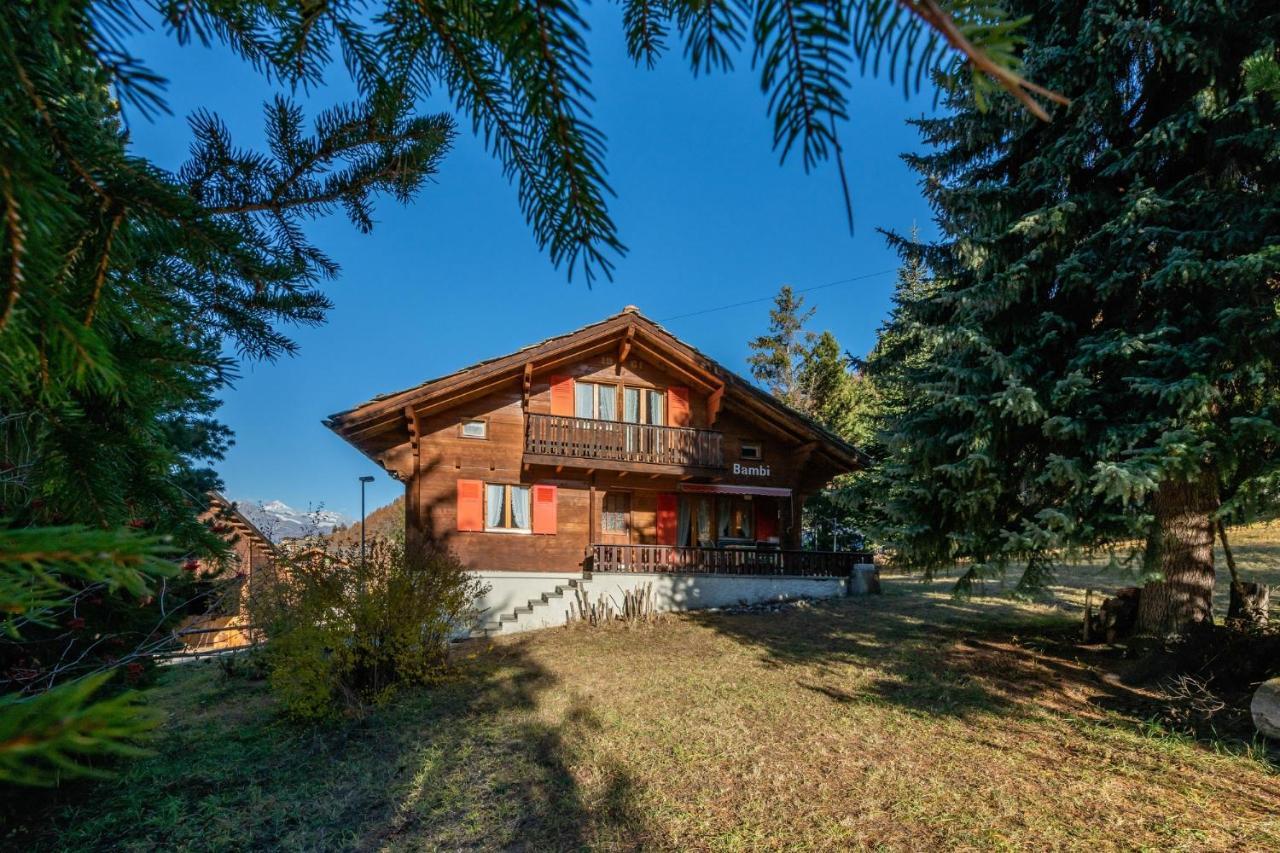 Chalet Bambi "Marchenhaft" Apartment Grachen Exterior photo
